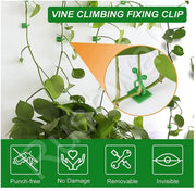 30pcs Plant Climbing Wall Clips Self-Adhesive Money Plant Support Clips