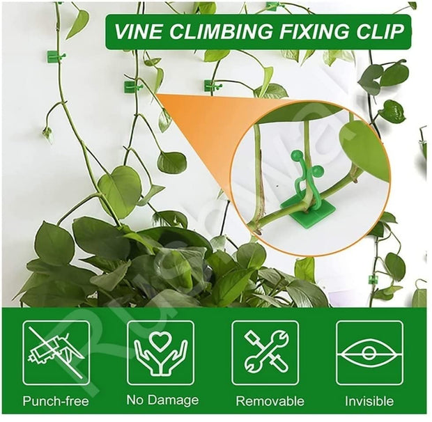 30pcs Plant Climbing Wall Clips Self-Adhesive Money Plant Support Clips